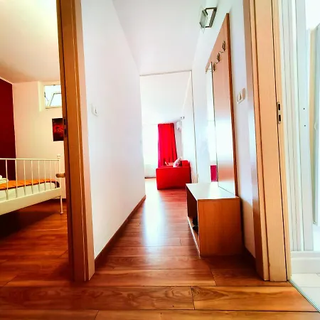 Comfort 아파트 티미쇼아라