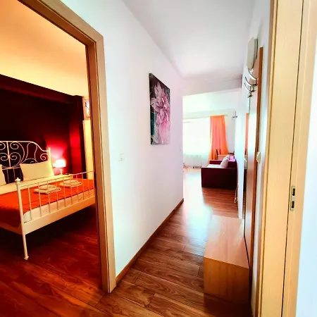 Comfort 蒂米什瓦拉