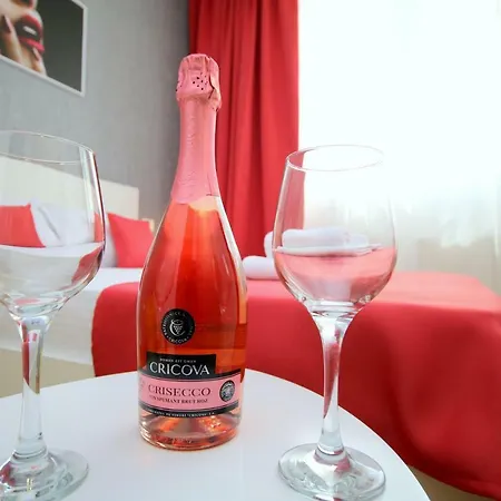 Comfort * 티미쇼아라